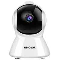 IP Cameras