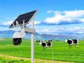 Farms & Pastures Security Solutions
